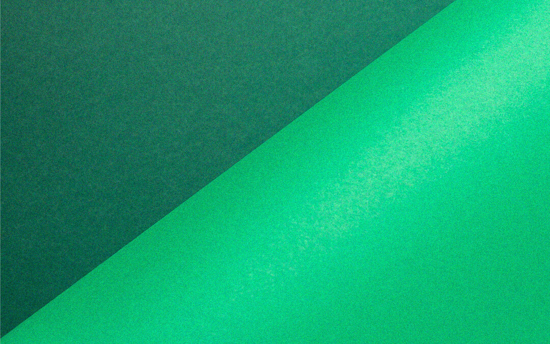 La economía de la acción